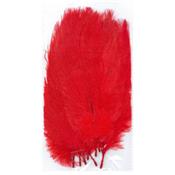 10 Plumes rouges 20 cm extra-large