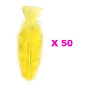 Plumes Droites Jaunes (15cm) - Lot de 50