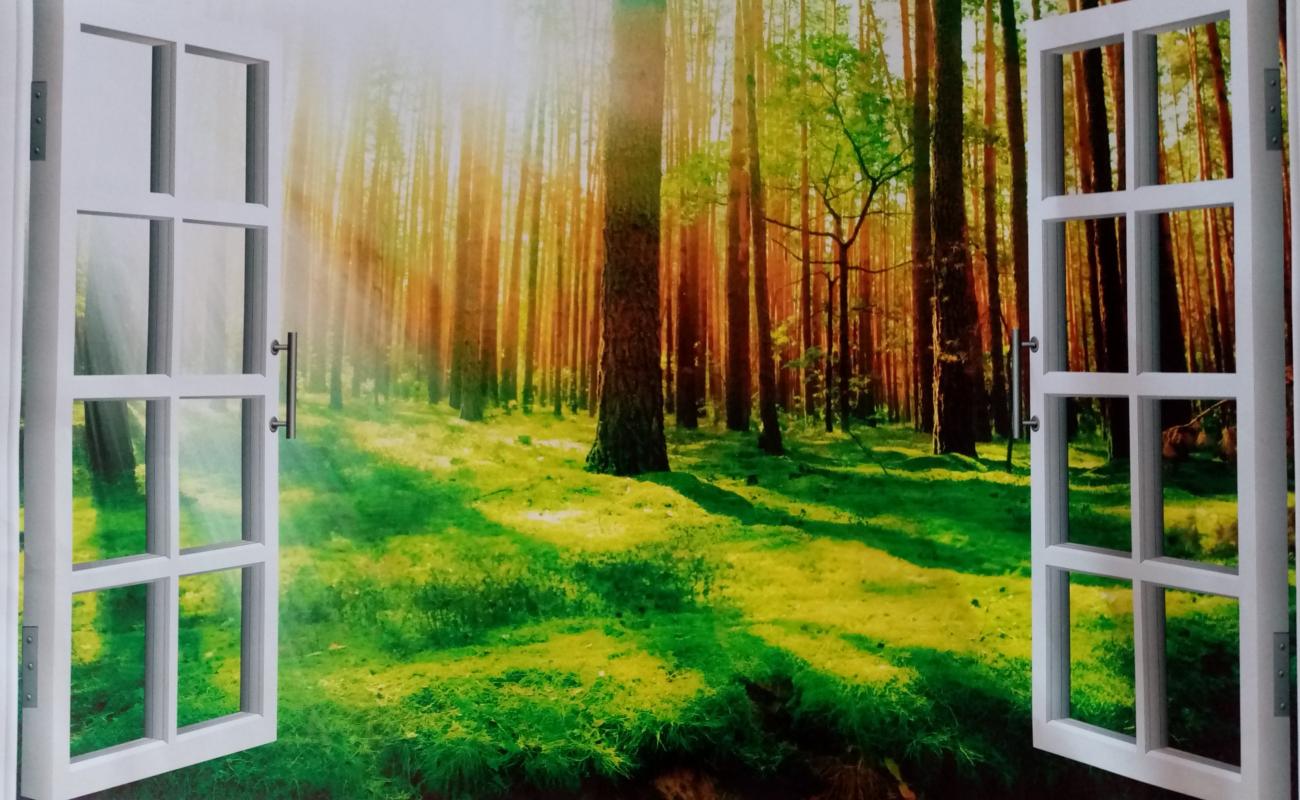 Sticker fenêtre cascade et forêt - 60 x 90 cm
