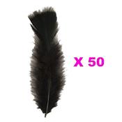 Plumes Droites Noires (15cm) - Lot de 50