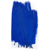 10 Plumes bleues-roi 20 cm extra-large