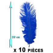 10 Plumes bleues-roi 20 cm extra-large