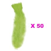 Plumes Droites Vertes (15cm) - Lot de 50