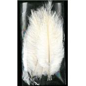 10 Plumes blanches 20 cm extra-large