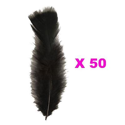 Plumes Droites Noires (15cm) - Lot de 50