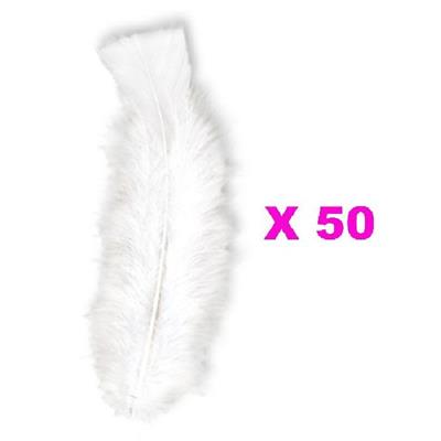 Plumes Droites Blanches (15cm) - Lot de 50