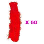 Plumes droites rouges (15 cm) - lot de 50