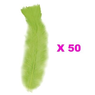 Plumes Droites Vertes (15cm) - Lot de 50