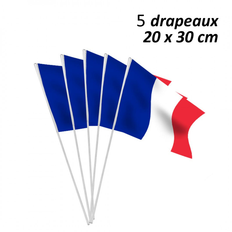 5 Drapeaux France 20 x 30 cm sur tige pvc 50 cm