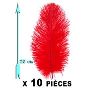 10 Plumes rouges 20 cm extra-large