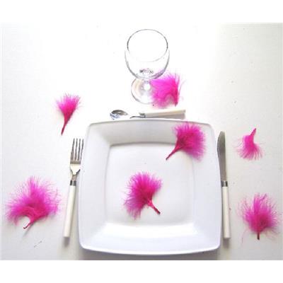 100 plumes duveteuses fuchsia