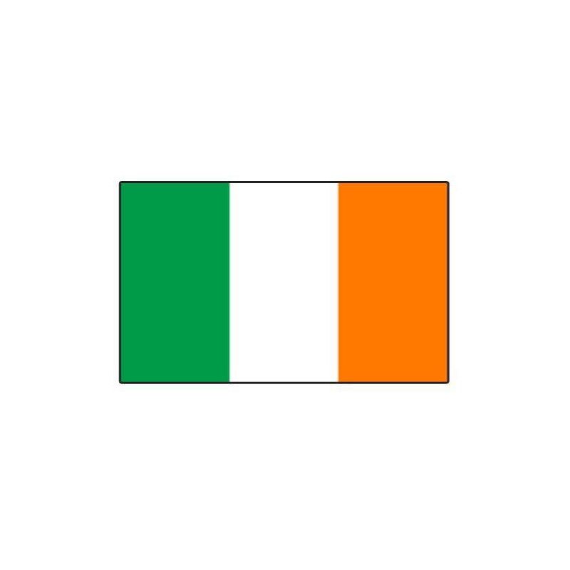 10 Drapeaux  Irlande 10 x 16 cm sur tige pvc 25 cm