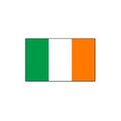 5 Drapeaux Irlande 20 x 30 cm sur tige pvc 50 cm