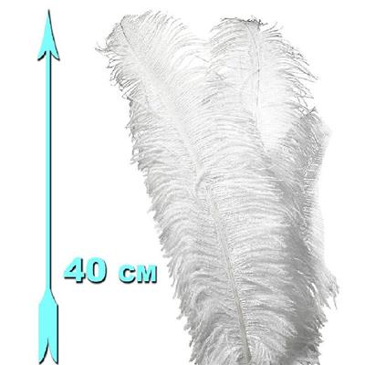 2 Plumes blanches d'autruche 35/40 cm