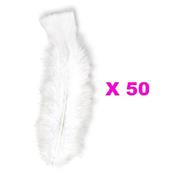 Plumes Droites Blanches (15cm) - Lot de 50