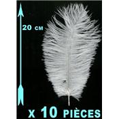 10 Plumes blanches 20 cm extra-large