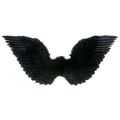 Ailes d'Ange Oiseau Noir -70 x 45 cm